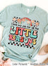 I Love My Job For All The Little Reasons Inspirational Teacher Tee