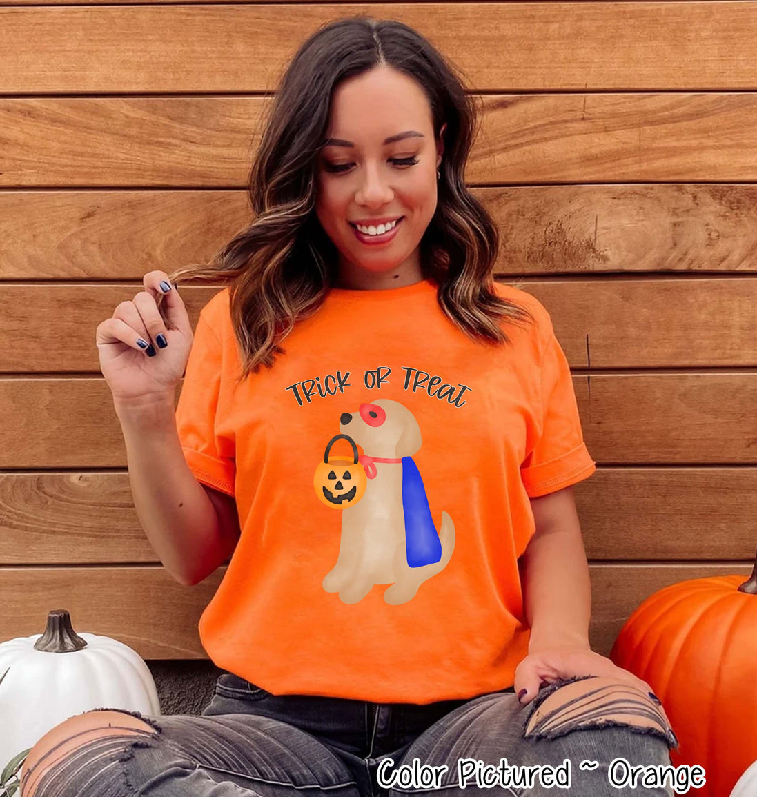 Yellow Lab Hero Dog Lover Halloween Tee