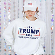 Trump 2024 Political Take America Back Tee or Sweatshirt