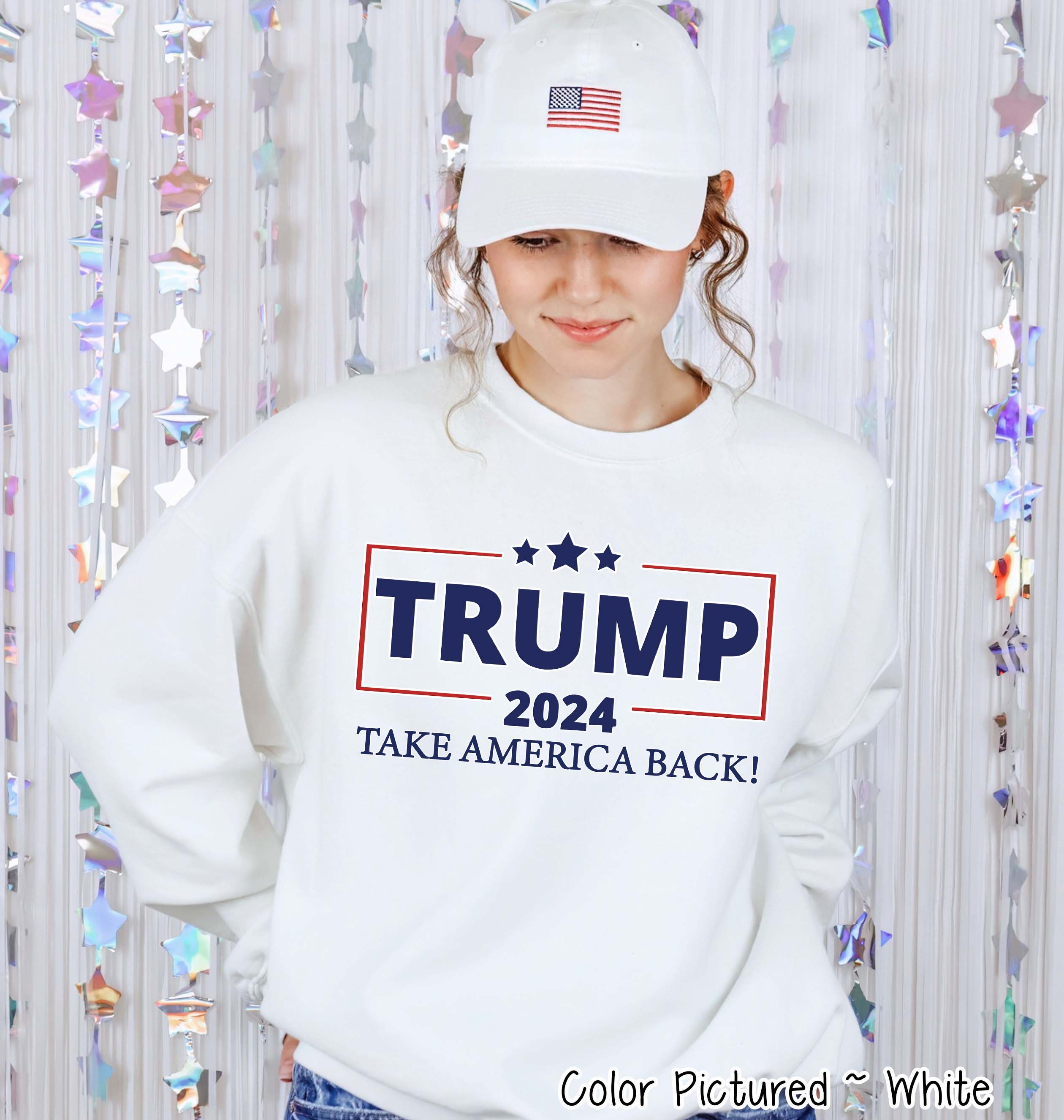 Trump 2024 Political Take America Back Tee or Sweatshirt