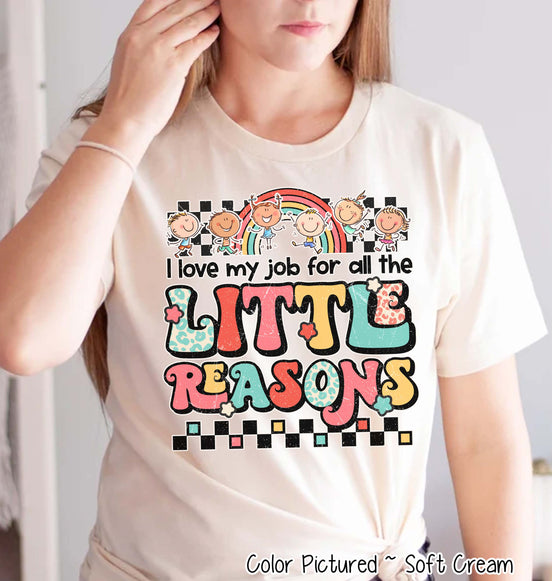 I Love My Job For All The Little Reasons Inspirational Teacher Tee