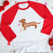 Daschund Dog Letter Valentine Shirt