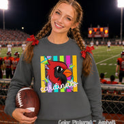 May include: A charcoal gray crewneck sweatshirt featuring a graphic of a red cardinal bird head with an orange beak, surrounded by colorful vertical stripes and stars, with the word cardinals written in white script text across the front.