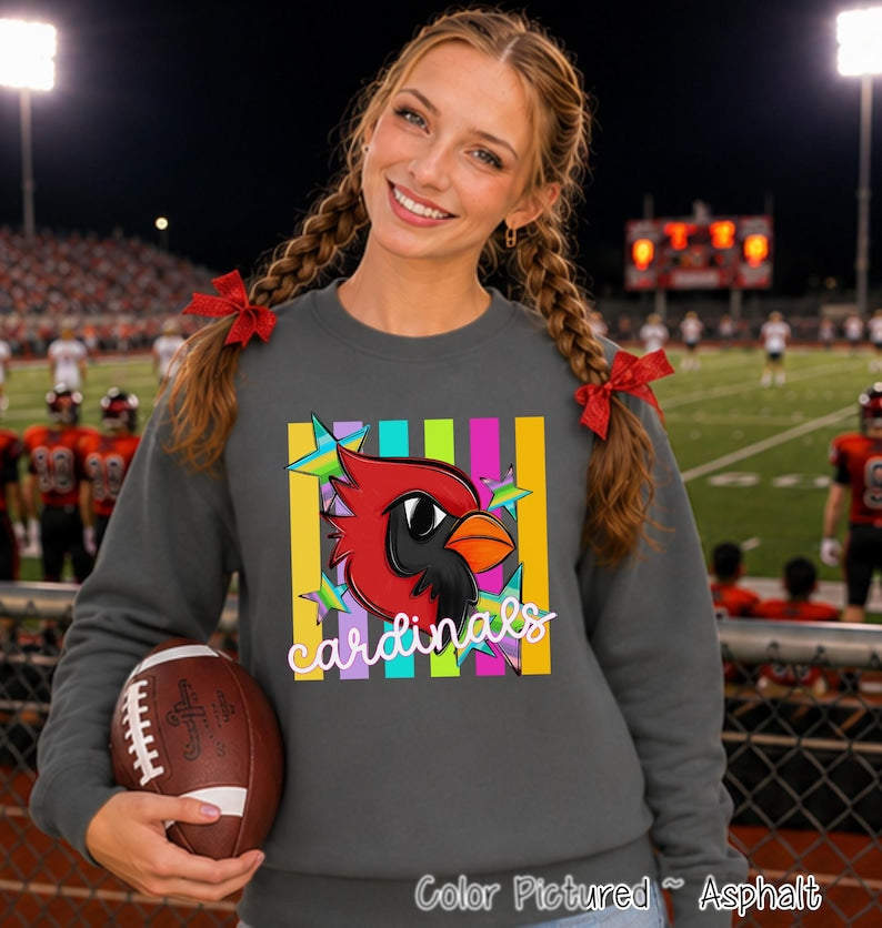 May include: A charcoal gray crewneck sweatshirt featuring a graphic of a red cardinal bird head with an orange beak, surrounded by colorful vertical stripes and stars, with the word cardinals written in white script text across the front.