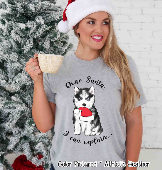 Husky Dog I Can Explain Christmas Tee