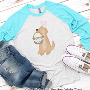 Dog Boy Yellow Lab Easter Raglan Tee