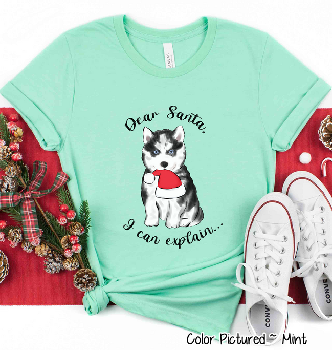 Husky Dog I Can Explain Christmas Tee