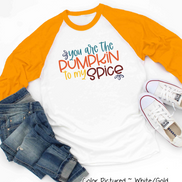 You Are the Pumpkin to My Spice Raglan Tee