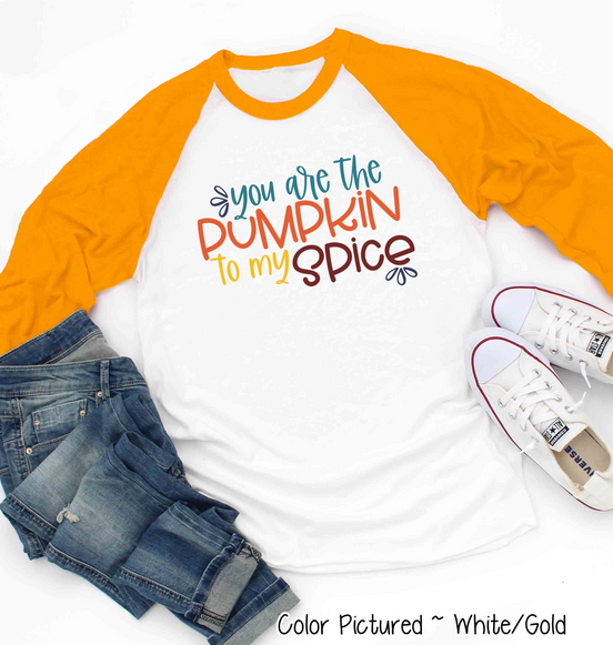 You Are the Pumpkin to My Spice Raglan Tee
