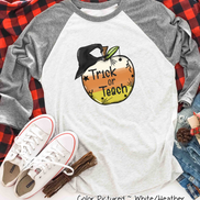 Trick or Teach Candy Corn Apple Halloween Teacher Raglan Shirt