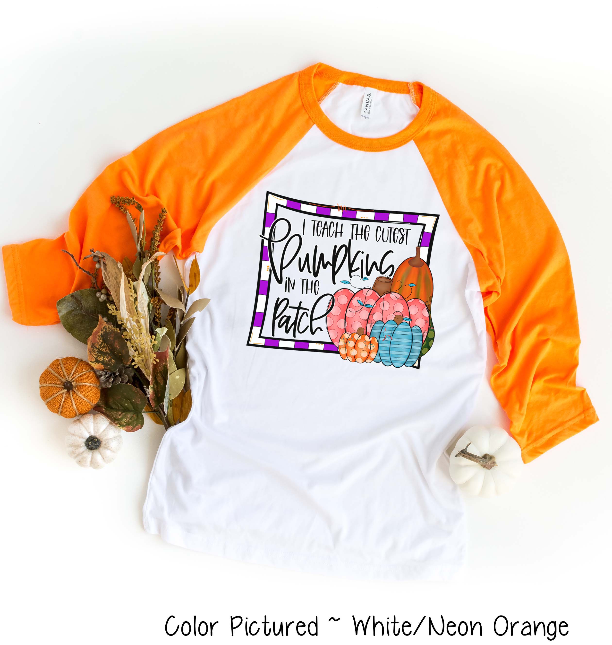I Teach the Cutest Pumpkins Fall Raglan Tee