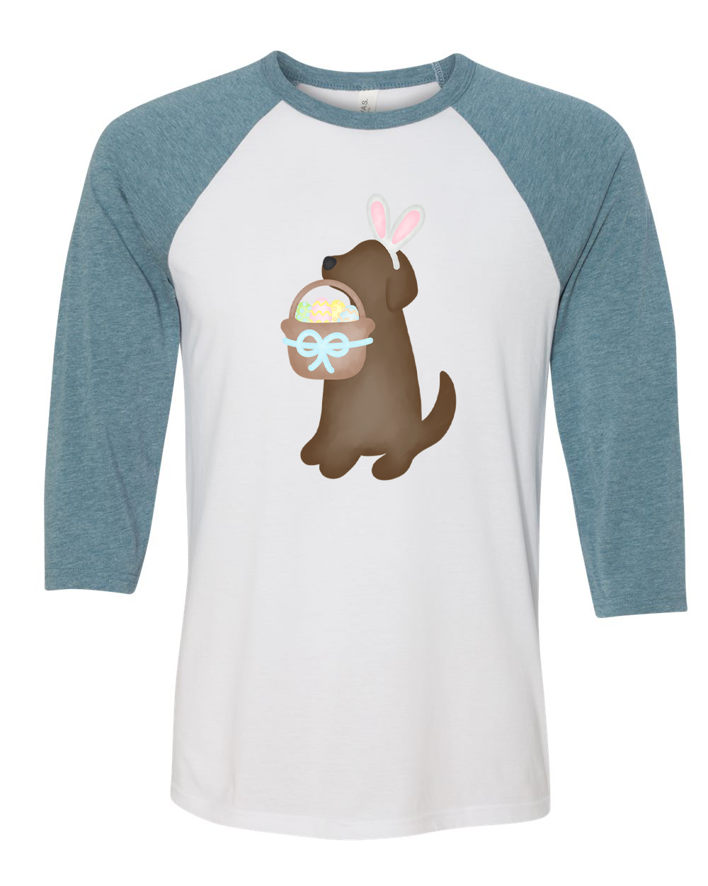 Dog Boy Brown Lab Easter Raglan Tee