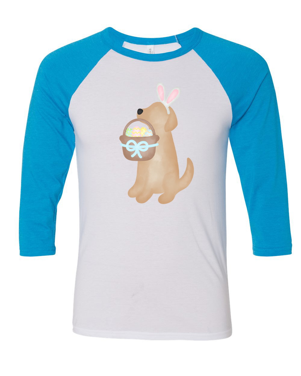 Dog Boy Yellow Lab Easter Raglan Tee